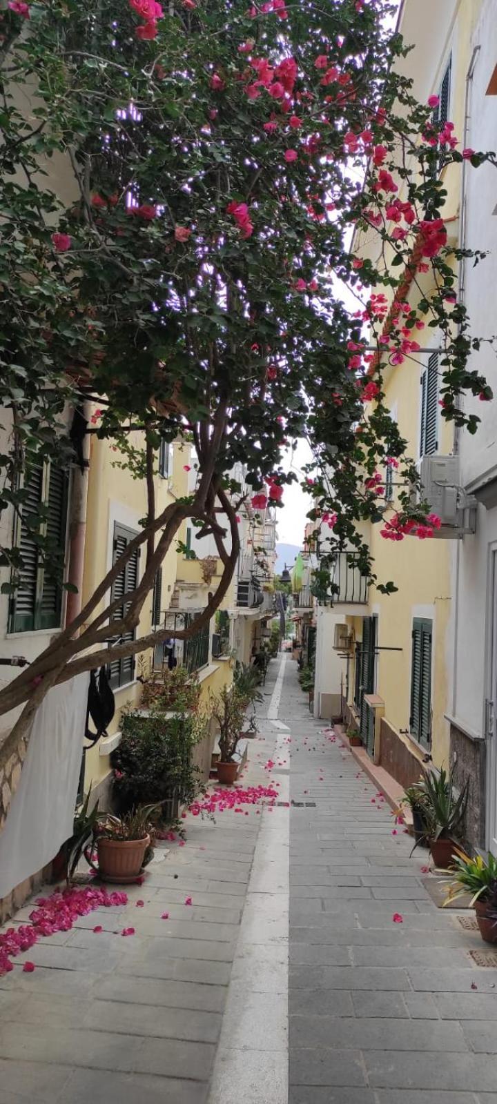 La Casa Rosa Di Giulia Villa Ischia Bagian luar foto