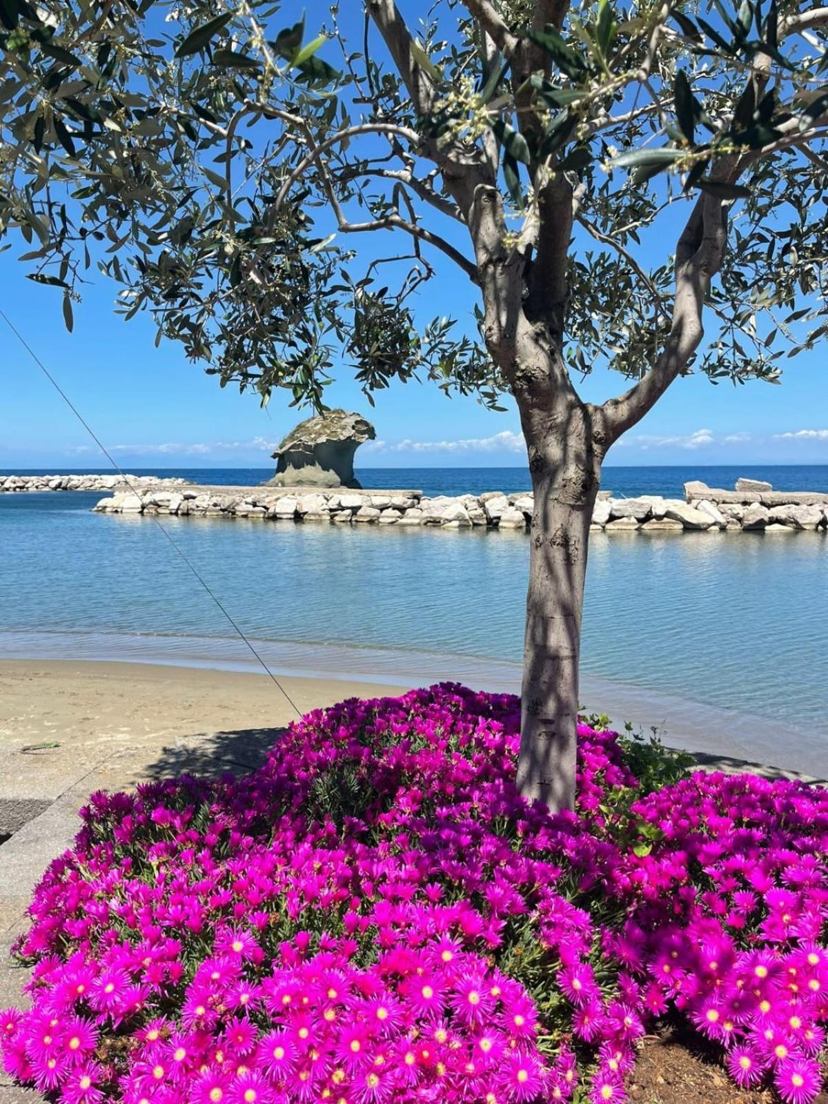 La Casa Rosa Di Giulia Villa Ischia Bagian luar foto